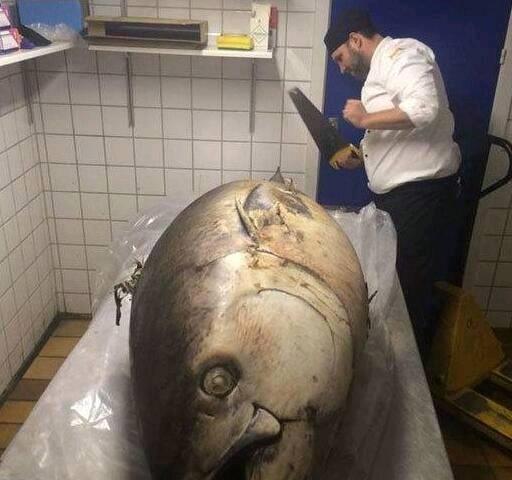 九游娛樂：搞笑圖片幽默段子笑話：魚真的大啊估計可以吃一個月了哈哈哈