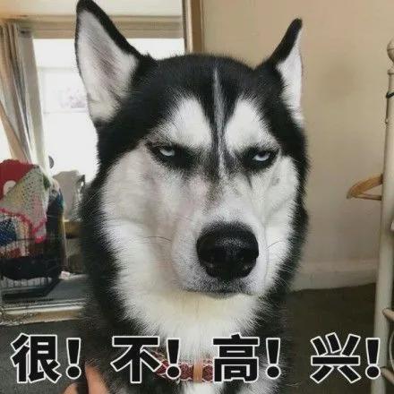 九游娛樂：【搞笑段子】人類學(xué)家發(fā)現(xiàn)如果踩一個人的腳他就會有可能張嘴