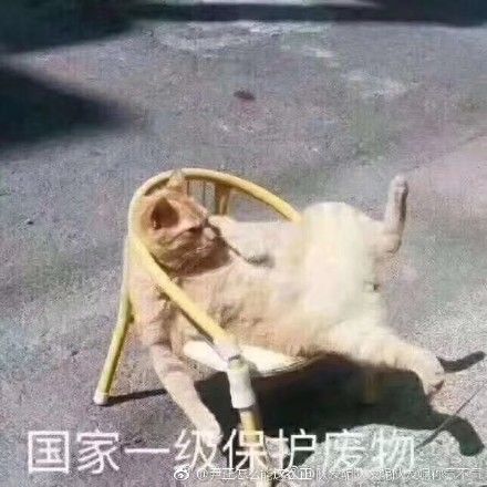 九游娛樂NineGame：學(xué)渣求生優(yōu)雅三連：不算渣努力過學(xué)霸太多│春節(jié)“消尷除尬”全攻略(圖4)