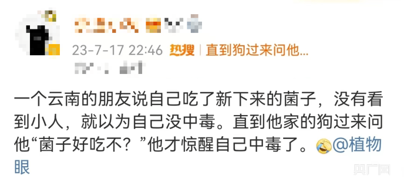 吃毒蘑菇成了搞笑段子、探險(xiǎn)游戲？別拿中毒當(dāng)兒戲！(圖1)