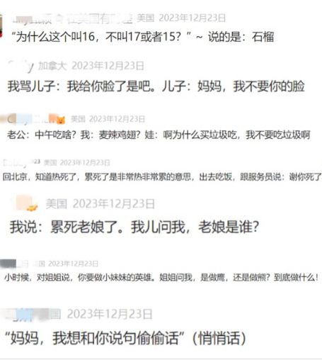 國內家長狠“雞”英文華人家長為了娃的中文拼了老命……(圖3)
