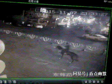 冷笑話大全：哥們這真是用生命在交朋友(圖3)