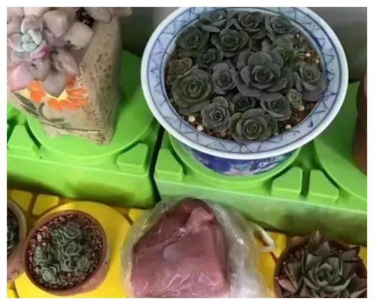 九游娛樂(lè)：搞笑圖片幽默段子笑話：拿菜刀的妹子一點(diǎn)都不可愛(ài)(圖3)