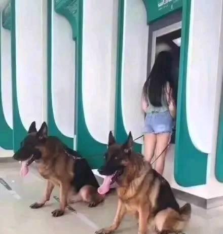 搞笑段子趣味圖片：妹子你取錢還隨身帶兩條惡犬的嗎