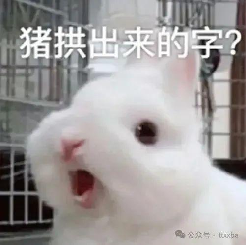 九游娛樂：笑話大全大放送笑到肚子疼超級爆笑來襲！