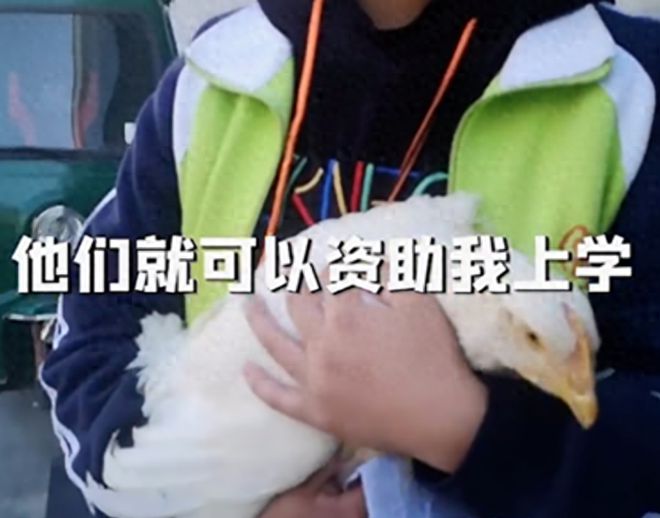 為了湊錢上學甘肅農村女孩給馬云寄母雞慘遭拒絕后竟一哭成名(圖1)