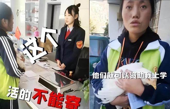 為了湊錢上學甘肅農村女孩給馬云寄母雞慘遭拒絕后竟一哭成名(圖11)