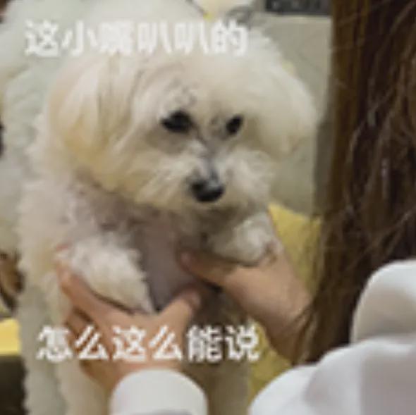 九游娛樂NineGame：來美國三年我還是說不好英語(圖2)
