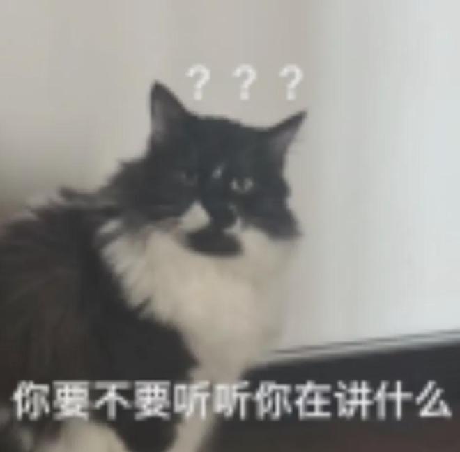 九游娛樂NineGame：來美國三年我還是說不好英語(圖4)