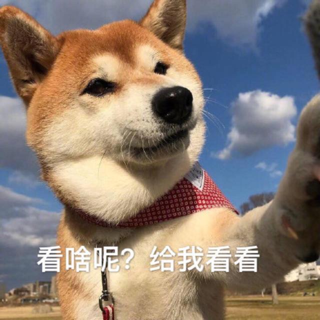 幽默笑話：主要是你來得太勤了狗都懶得理你了(圖2)