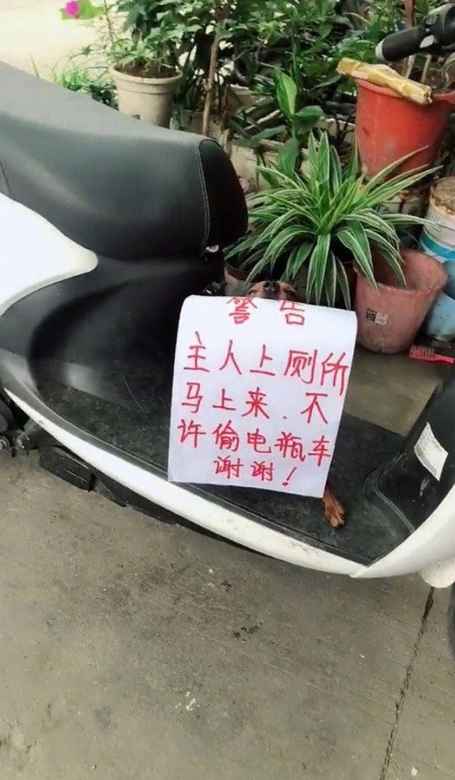搞笑段子：難得老板組織聚餐興奮的不得了老板說：饅頭管飽(圖1)