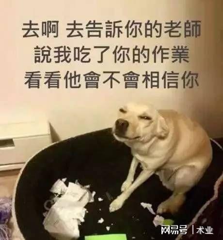 九游娛樂NineGame：第二期那些經(jīng)典搞笑段子(圖3)