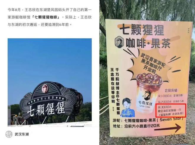 王媽演霸總劇塌房背后戳中了年輕人就業(yè)最痛的傷(圖14)