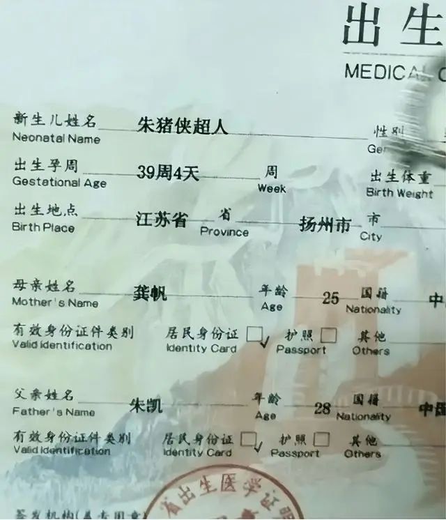 九游娛樂：“子涵軒”已過時新一批名字畫風更奇葩老師表示：我想靜靜(圖5)