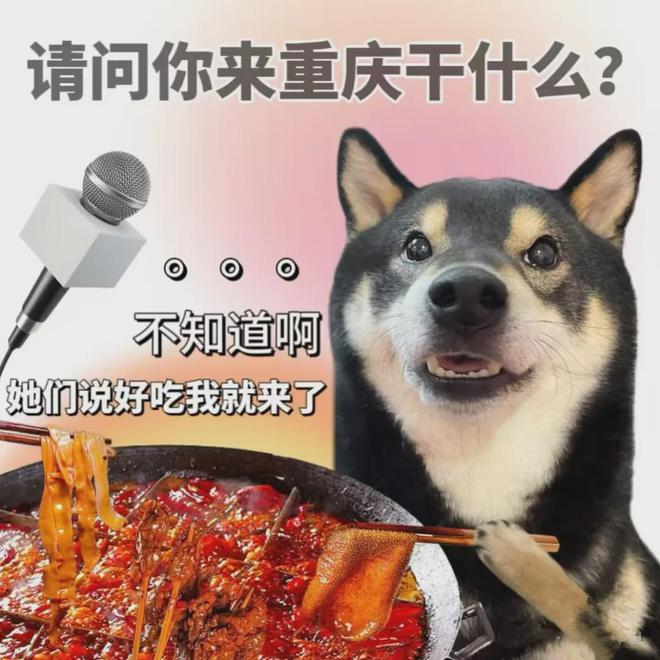 去世128年后卻慘遭網(wǎng)暴？輿論背后線最大的笑話…(圖10)