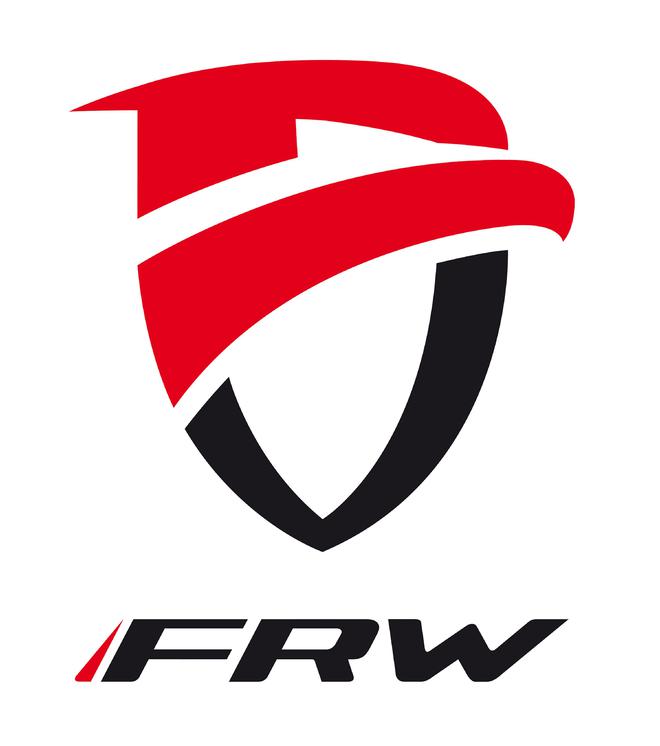 意大利山地車品牌大全FRW輻輪王自行車界一王四后公路車排行榜(圖4)