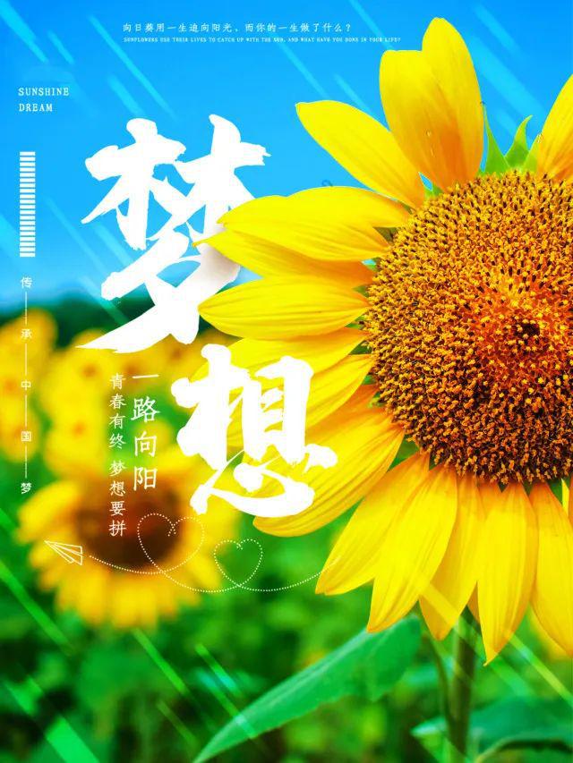 清醒通透的勵(lì)志正能量句子讓你越來(lái)越優(yōu)秀(圖2)